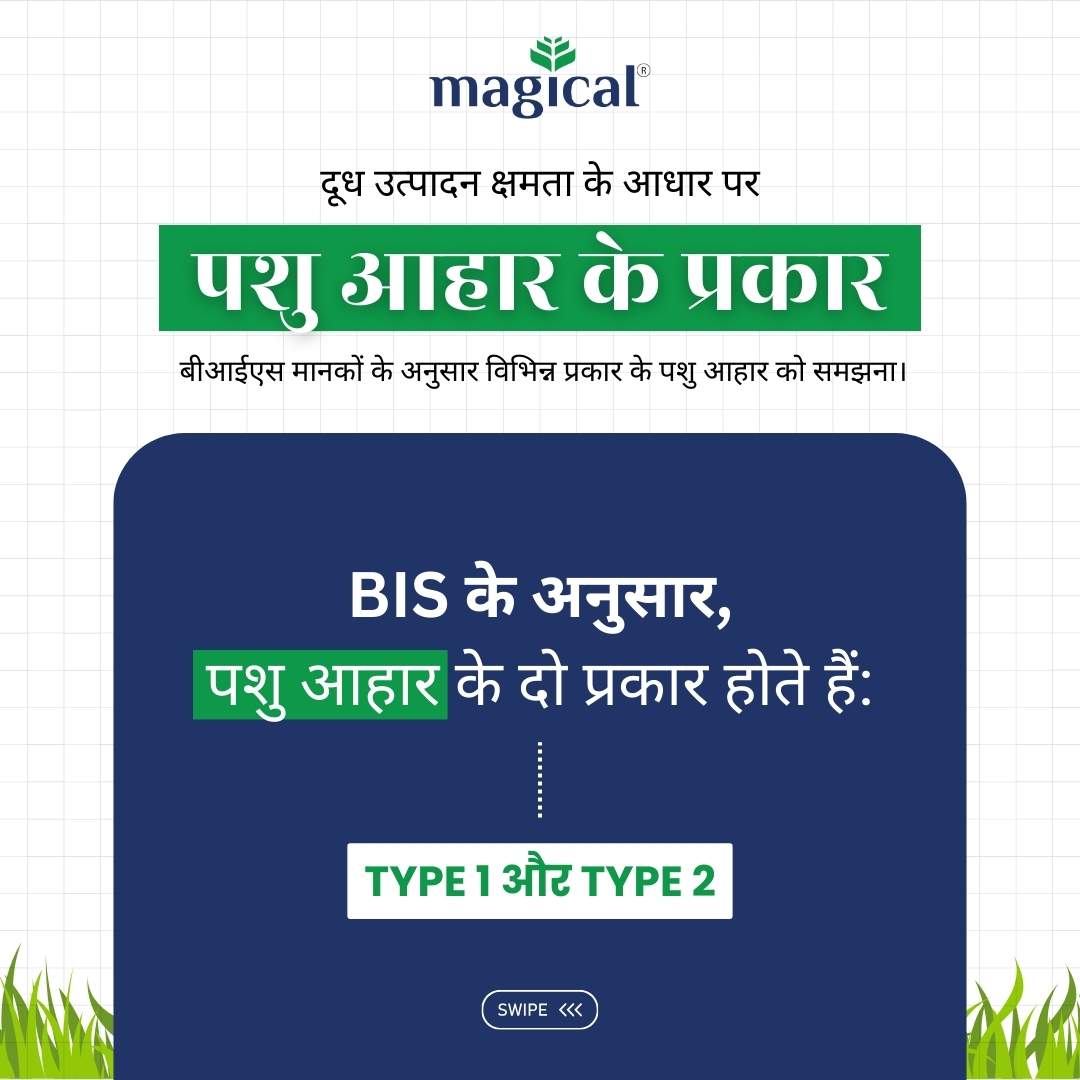 Types of Cattle Feed 1