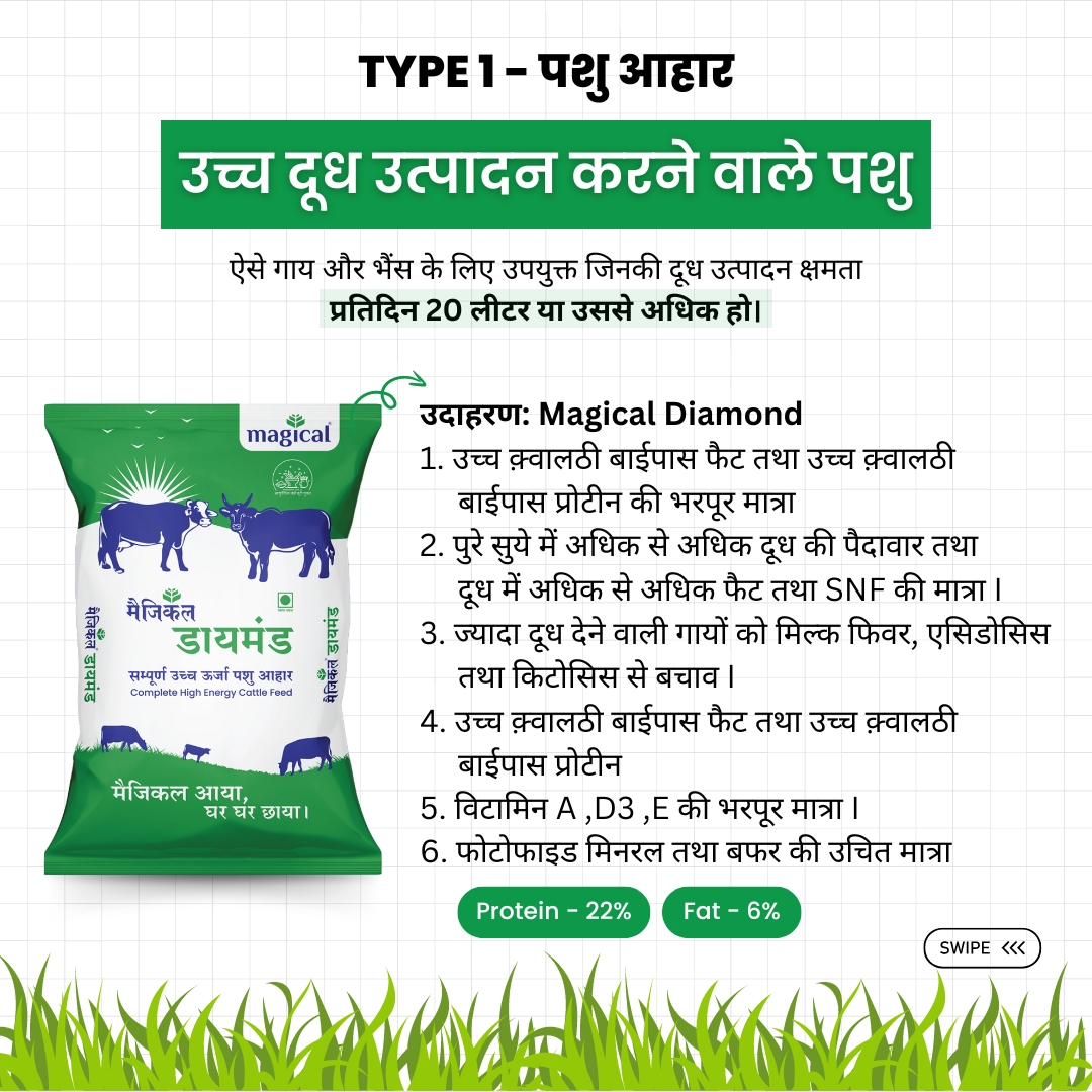 Types of Cattle Feed 2