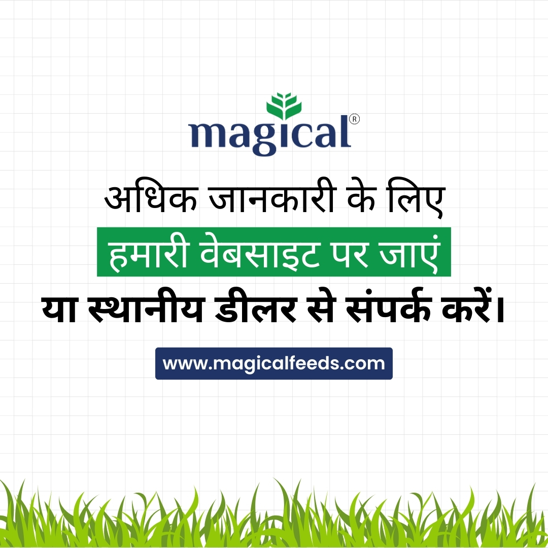 Types of Cattle Feed 4