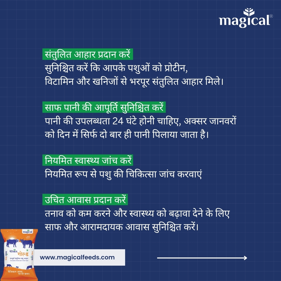 गायों के स्वास्थ्य और दूध उत्पादन को बढ़ाने के टिप्स 2