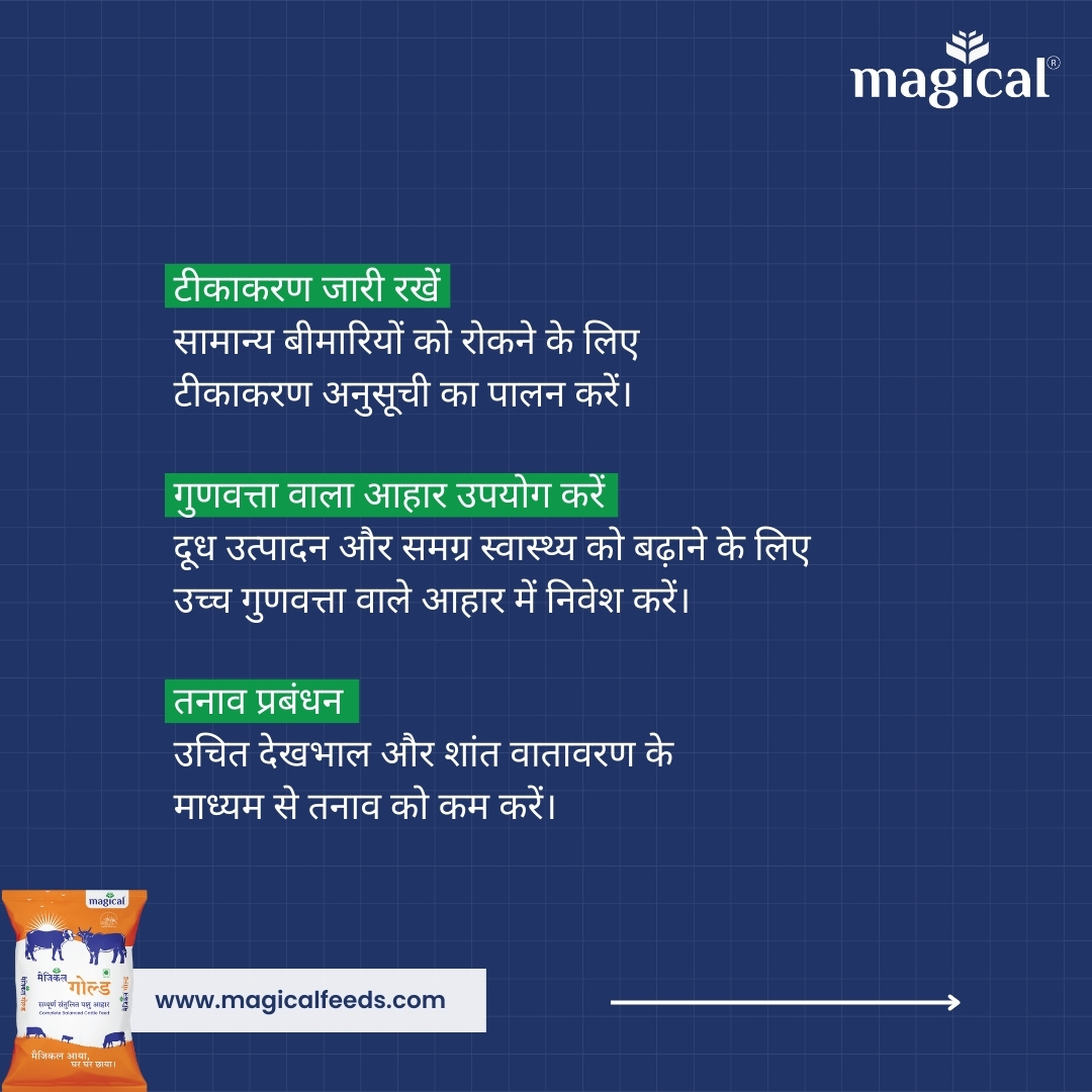 गायों के स्वास्थ्य और दूध उत्पादन को बढ़ाने के टिप्स 3